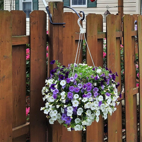 Hanging Plant Display Hook