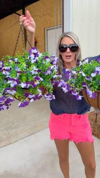 Hanging Plant Display Hook